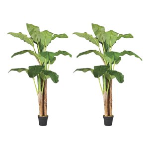 Arbusto Real - 2 X 1 Plantas Artificiales Banano 180 Cm Verde