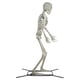 thumbnail image 2 of Figura esqueleto 3m con soporte metálico, 2 of 5