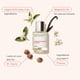 thumbnail image 5 of Dossier de perfume Gourmand Orange Blossom 50 ml para mujer, 5 of 6