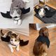 thumbnail image 3 of Disfraz de Halloween de alas de murciélago para gato o perro pequeño, 3 of 3