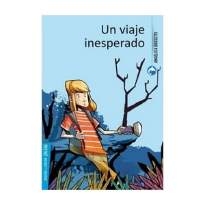Zig-Zag - Libro Un Viaje Inesperado - Angelica Dossetti