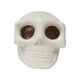 thumbnail image 2 of Novedad Juguete De Calavera Juguete Relajante Niños Niñas Bolas Relajantes De Calavera Elásticas, 2 of 5