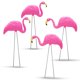 thumbnail image 1 of Decoraciones de jardín 4E's Novelty 4 flamencos rosados de 61 cm, 1 of 9