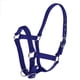 thumbnail image 1 of Correas de nylon ajustables Equitación Western Horse Halter Equitación Equitación Azul L, 1 of 3