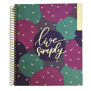 Pack 5 Cuadernos Gold Style Rhein Medio Oficio 150 Hojas