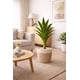 thumbnail image 2 of Drácaena Artificial Grande 120 cm Planta Decorativa Interior, 2 of 4