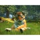 thumbnail image 2 of Videojuego Microsoft Kinectimals, 2 of 4