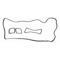 Empaquetadura Ford Focus Cb4 2.0 2007-2011