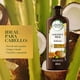 thumbnail image 2 of Shampoo Herbal Essences bío:renew Hydrate Coconut Milk, 400 ml, 2 of 5