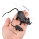 thumbnail image 3 of Juguetes de broma para fiestas con forma de rata falsa para Halloween, 33 unidades, 3 of 6