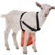 thumbnail image 1 of Cabra delantal anti reproducción oveja falda control buck anti apareamiento con correa ajustable para cabras y ovejas naranja, 1 of 3