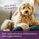 thumbnail image 3 of Spray corrector de comportamiento Sentry Pet Care ¡Deja de hacer eso! ¿Perros, 3 of 5