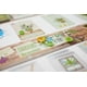 thumbnail image 5 of Juego de mesa Buffalo Games Planted Game Phil Walker-Harding, 5 of 7