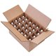 thumbnail image 5 of Botellas de vidrio Focus Nutrition Boston Round de 30 ml con gotero, 5 of 5