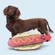 thumbnail image 3 of Juguete Para Perro Wassup Dog Peluche Chirriante Y Crujiente Grande, 3 of 3