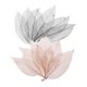 thumbnail image 1 of 100 Piezas De Hojas De Esqueleto De Magnolia Natural, Hojas De Café Negro Para álbumes De Recortes, 1 of 5