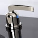 thumbnail image 2 of Grifo de baño extendido Fauceture Centurion FSC8929EFL, 2 of 8