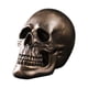 thumbnail image 5 of Escultura De Estatuilla De Calavera De Estatua De Cabeza De Esqueleto Para Oficina De Accesorios De Fotografía De Escritorio, 5 of 5