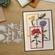 thumbnail image 1 of Troqueles De Corte Marco De Flores Florales Para Scrapbooking, 1 of 8