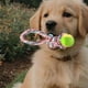 thumbnail image 2 of Set 4 Juguetes Interactivos De Cuerda Pelota Mascotas Lau, 2 of 3