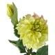 thumbnail image 3 of Flor Dahlia Amarilla Clara 68cm, 3 of 3