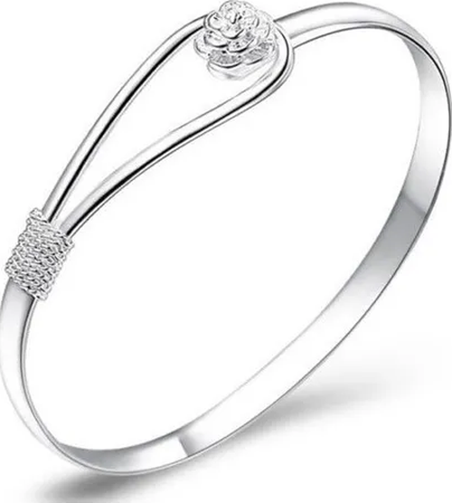 Genérico - Pulsera Mujer Chapada En Plata Con Circones