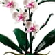 thumbnail image 3 of Bloques de construcción botanical Orquídeas, 3 of 3