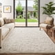 thumbnail image 1 of Area Rug Ophanie Ivory Fluffy Shag de 5 x 7 pies para sala de estar, 1 of 6