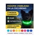 thumbnail image 4 of Collar LED Perro USB Recargable 51 cm 10-25 kg azul, 4 of 10