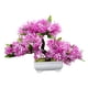 thumbnail image 1 of Árbol De Bonsái Artificial, Decoración De Plantas Artificiales Para Granja, Estante De Oficina, Color Rosa, 1 of 3