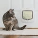 thumbnail image 5 of Puerta para Gato con Microchip PetSafe, 5 of 6