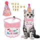 thumbnail image 1 of Decoraciones de Cumpleaños de Gato Sombrero y Pañuelo Rosa, 1 of 7