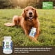 thumbnail image 5 of Suplemento Levadura De Cerveza Y Ajo Natural 300 Tabletas, 5 of 7