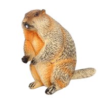 Bothyi - Juguete De Jardín Decoración De Escritorio Realista Decoración Del Hogar Simulación Modelo Animal Estilo D