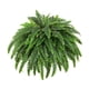 thumbnail image 1 of Planta Artificial De Helecho Artificial Para Oficina, Jardín, Boda, 1 Unidad, 1 of 5