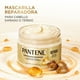 thumbnail image 4 of Crema Pantene de Tratamiento Capilar Repara y Protege, 4 of 5