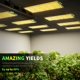 thumbnail image 5 of Luz LED de cultivo BESTVA 2024 mejorada BP1000 de espectro completo, 5 of 6