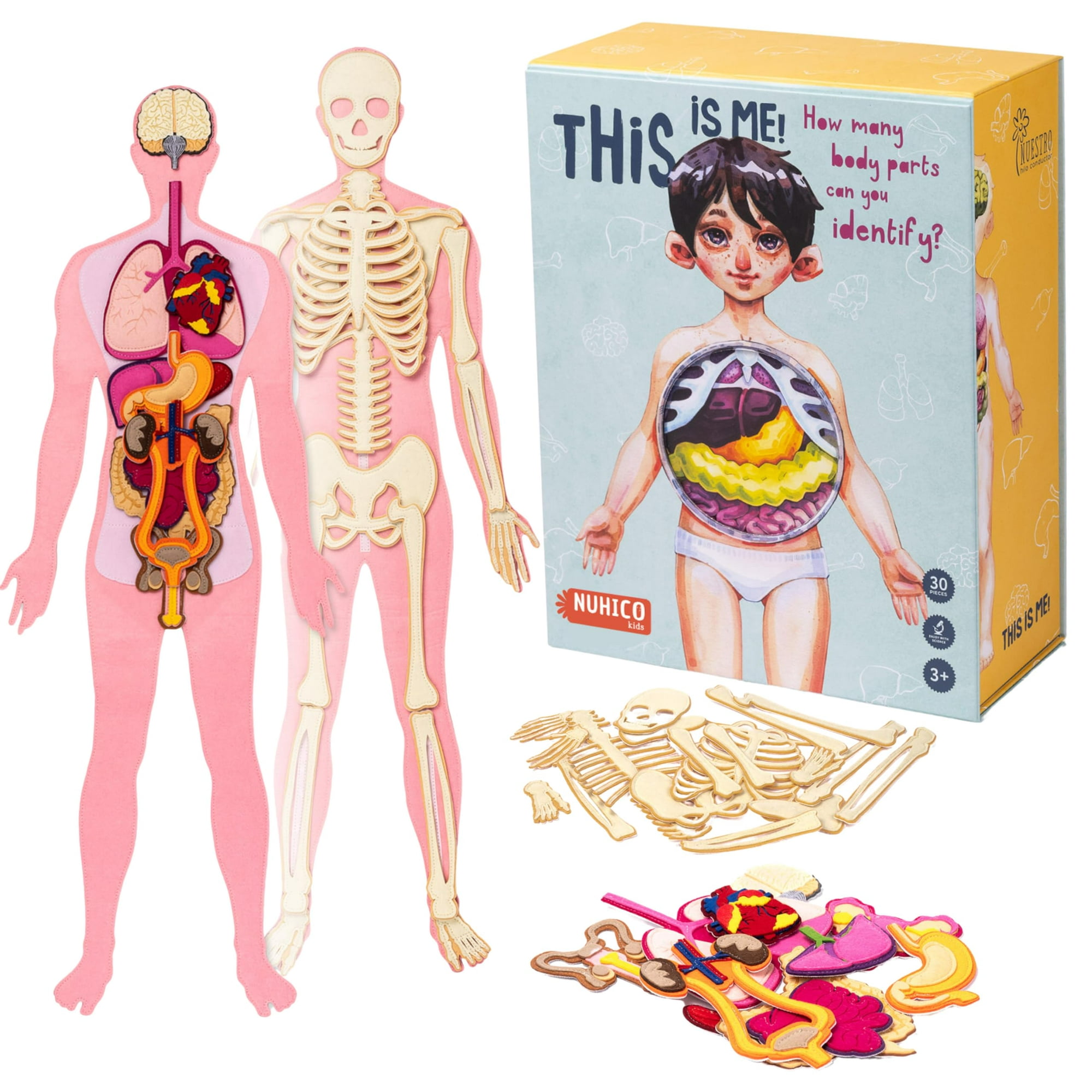 Modelo De Cuerpo Humano Nuhico Montessori Essential 1m Para Niños