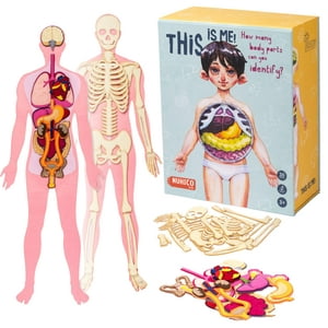 Modelo De Cuerpo Humano Nuhico Montessori Essential 1M Para Niños