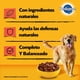 thumbnail image 3 of Pack 6 Latas Pedigree Paté de Carne Adulto 280g, 3 of 7