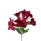 thumbnail image 3 of Flor Astromelia Fucsia 63cm, 3 of 3