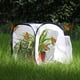 thumbnail image 2 of Terrario En Jaula Para Hábitat De Insectos Y Mariposas, 2 of 7