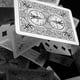 thumbnail image 2 of Baraja de cartas Magic Makers Bicycle Skull con 4 cartas extra, 2 of 9
