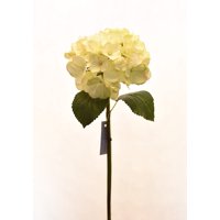 Vadell - Hortensia Crema 52 Cm