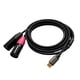 thumbnail image 3 of Cable USB C A 2 XLR De 3 Pines Con Micrófono Balanceado Para Amplificador, Auriculares Y Altavoz De 1,8 M, 3 of 5