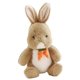 thumbnail image 3 of Animales De Peluche Bufanda De Zanahoria Mu?eco De Conejo De Peluche Suave Para Decoración De Sofá Caqui, 3 of 5