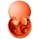 thumbnail image 1 of Auriculares para dormir Bluripp con reducción de ruido micro, 28 h, naranja, 1 of 6