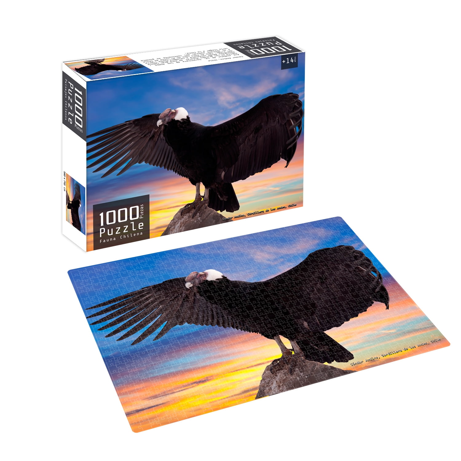 Nobel Gift - Puzzle 1000 Piezas Fauna Chilena Condor