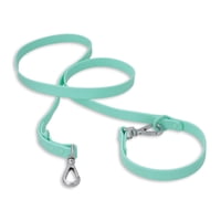 Correa Paws Verde Agua / S