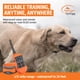 thumbnail image 2 of Collar electrónico impermeable Remote Trainer SportDog SportTrainer, 2 of 8